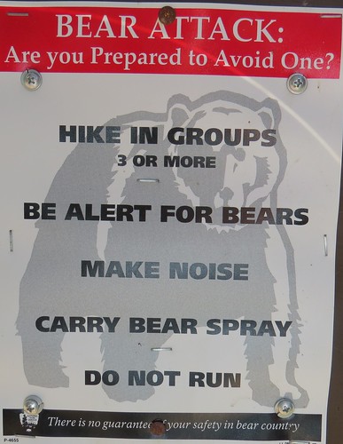 bear management area