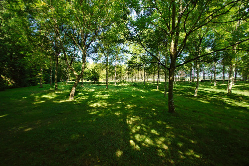 arboretum arbre château harcourt