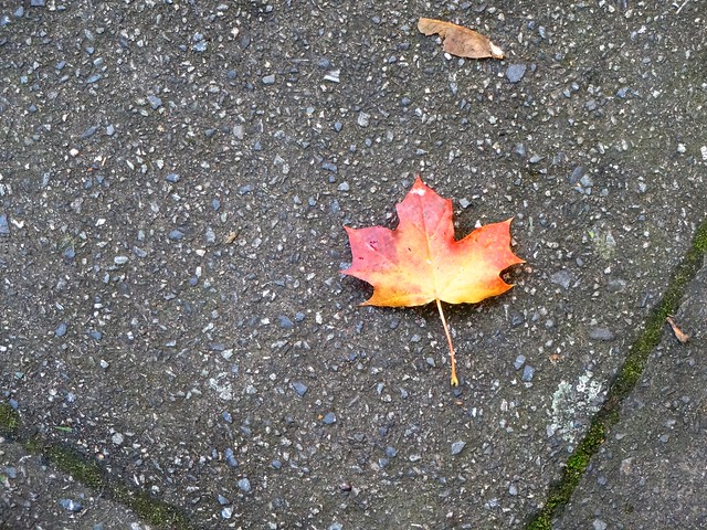 Fall in London