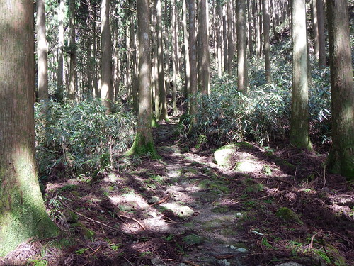 和歌山 kumanokodo 熊野古道 川湯温泉 大雲取越 湯の峰温泉 つぼ湯