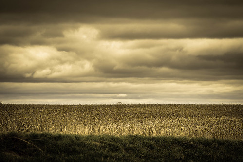 cloud field grass rural outside outdoors nikon midwest warm unitedstates cloudy farm horizon farming overcast iowa telephoto faded tricolor fields fade crops agriculture tamron 90mm dx tamron90mm grinnell nikondx portraitmacro d3100 nikond3100