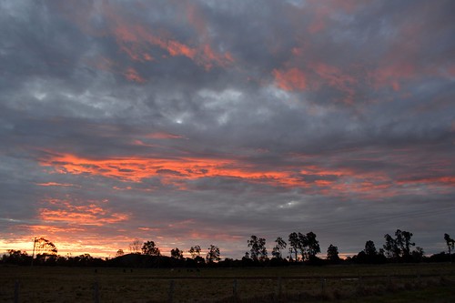 sunset sky grass landscape sundown cloudy australia nsw australianlandscape sunsetclouds sunsetsky lastlight ruralaustralia northernrivers swanbay rurallandscape sunsetlandscape sunlitclouds richmondvalley richmondriverfloodplains