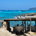 Ibiza - Es calo boat - Formentera