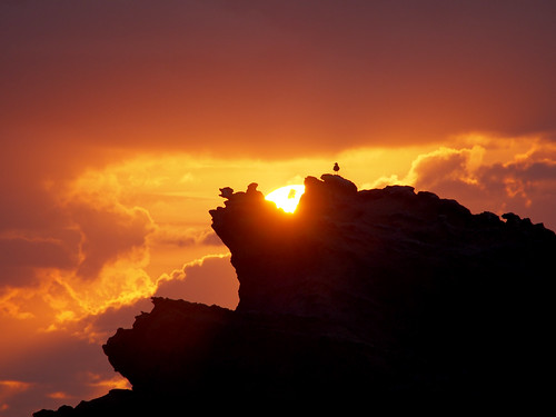 sunset orange rock coast seagull olympus 64 biarritz paysbasque