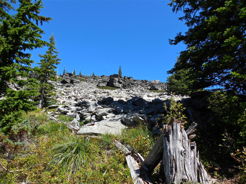 Trail 63: Cabinet Mountains Wilderness