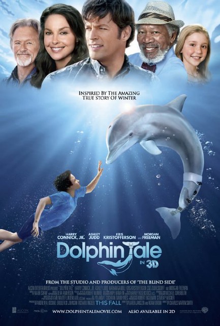 dolphintale