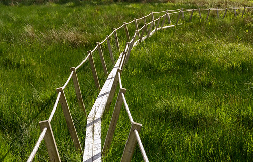 wood camping grass rope walkway bog plank