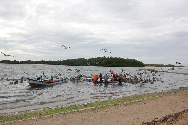 Laguna De Raya
