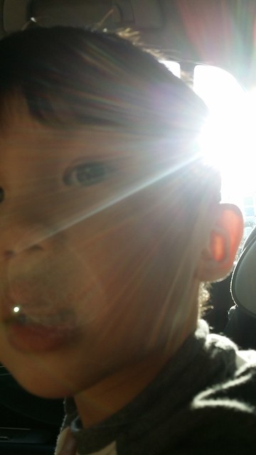 Jerry in his car seat, while the sun sets in the background. 