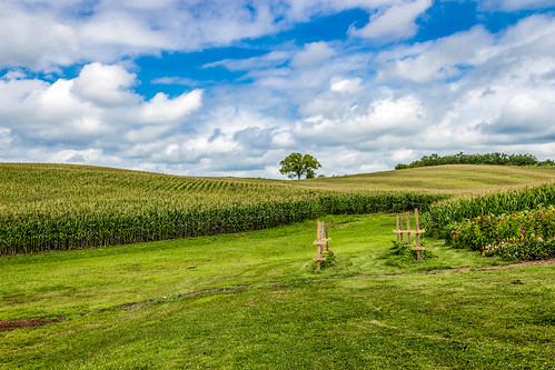 trees field weather clouds day cloudy kansascity crops weston mostlycloudy farmershouse