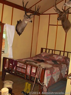 There seem to be mounted deer heads everywhere in the Holzwarth Historic Site buildings...including the bedroom! Rocky Mountain National Park, Colorado