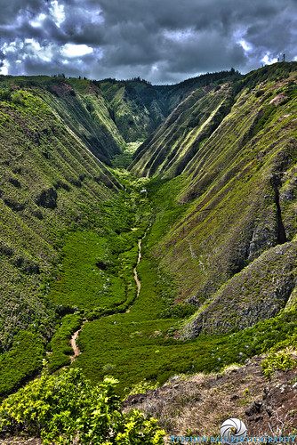 trees green clouds photoshop canon hawaii canyon cliffs tropical 5d lush hdr lanai digitalphotography gulch hawaiianislands canon24105mm maunaleigulch 5dmarkiii stephenballphotography canon5dmkiii5d