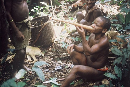 smoking 'bangi' with treebark pipe