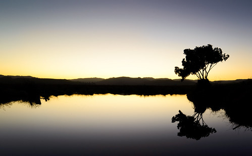 bayview dusk hawkesbay light napier newzealand sky sunset tarn tree tussock water caldwell ankh
