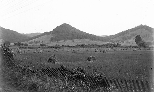 county ohio mountain mountains overgrown field station forest fence photo ross harrison wheat hill experiment farmland historic hills haystacks photograph 1922 leaning mooresville agricultural township
