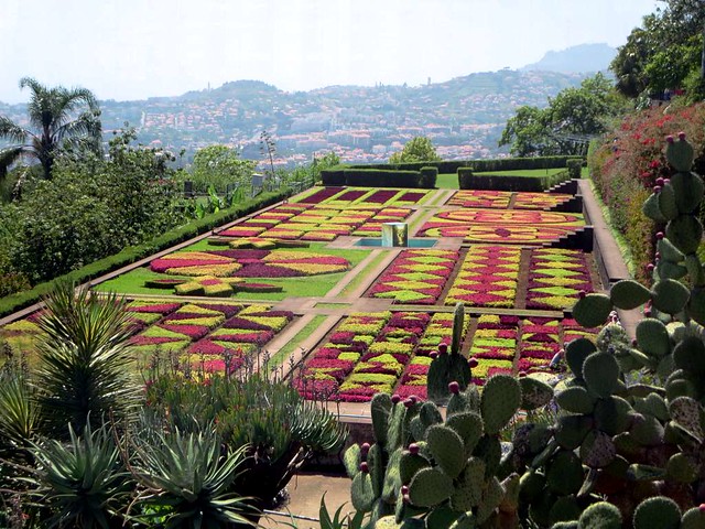 Jardim Botanico da Madeira