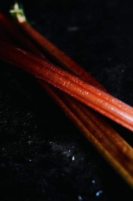 carrot and rhubarb soup #food #foodphotography #foodstyling #carrot #rhubarb #soup