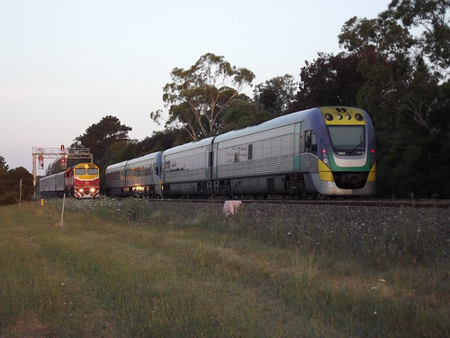 australia victoria moe locomotive velocity vline nclass n471