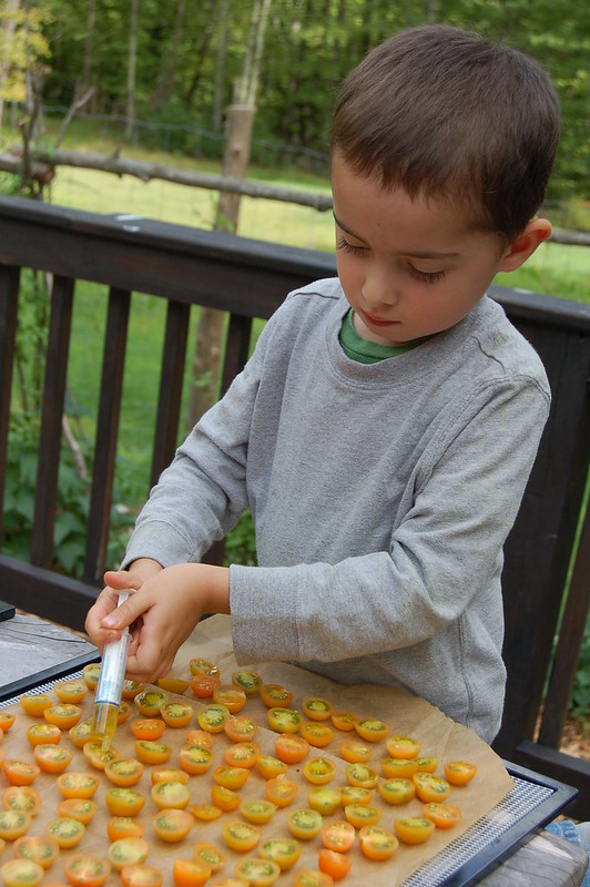 Will drizzling olive oil over the sungold tomatoes by Eve Fox, copyright 2014