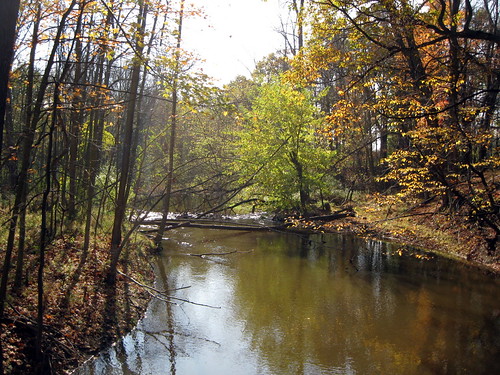 fall nature water creek formar
