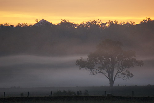 morning mist fog rural sunrise dawn farm australia queensland