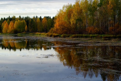 autumn finland kajaani kainuu kuluntalahti särämäjärvi
