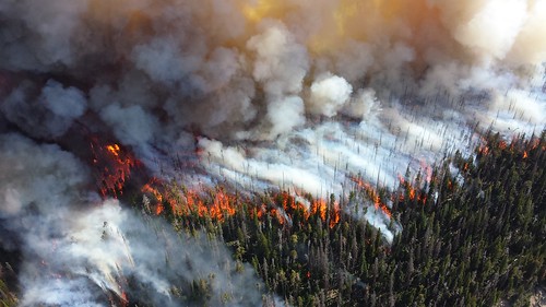 規模如黃石公園2013年Alder森林大火，近年在洛磯山越來越頻繁。（來源：NPS Climate Change Response）