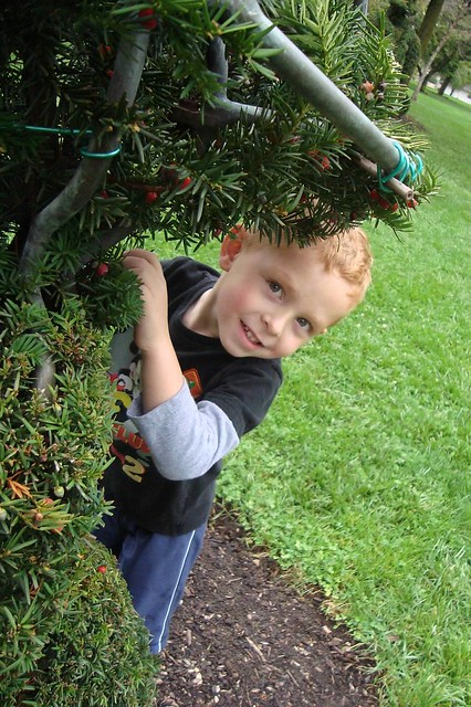 Connor Topiary 4 years old