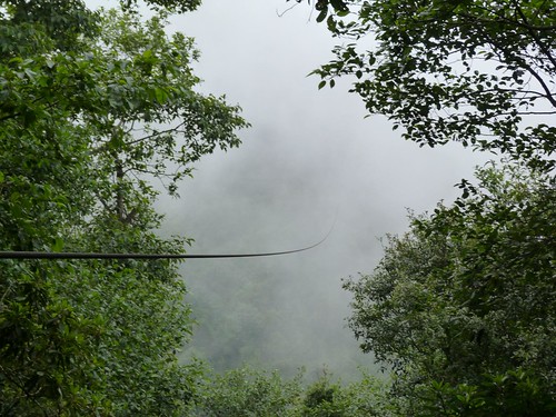 Canopy de Chuirixamoló (Santa Clara La Laguna, Guatemala)
