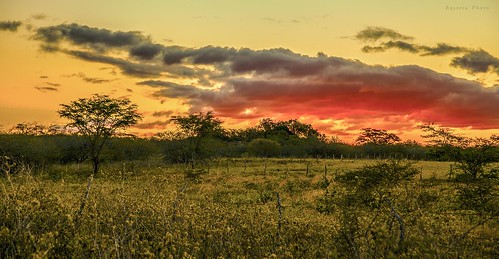 sunset brazil sol nature brasil landscape soleil do tramonto natureza coucher paisagem pôr rqserra