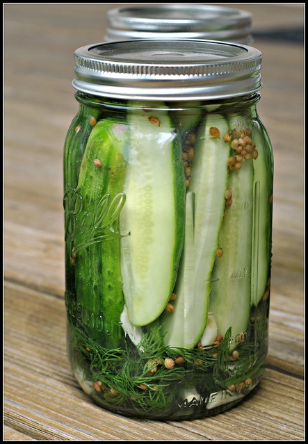 Easy Garlic Dill Refrigerator Pickles 3