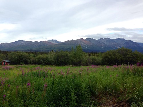 flowers mountains apple nature alaska clouds landscapes scenery country peaceful tranquil cellphonephoto cellphoneshots nationalscenicbyway iphone5 waltphotos lordwalt