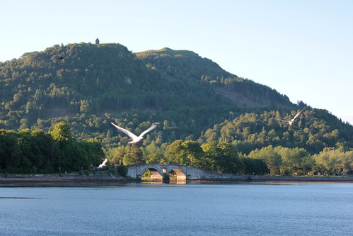 bridge seagulls lake scotland unitedkingdom gulls loch inveraray lochfyne argyllandbute inveraraybridge picmonkey:app=editor