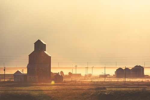 old morning light summer brown sun sunlight dusty abandoned silhouette yellow horizontal backlight rural vintage buildings landscape dawn countryside haze beige montana warm downtown quiet mt shadows village place bright decay empty wheat horizon country farming rustic grain harvest straw dry sunny nobody landmark storage silo heartland lensflare lonely backlit prairie copyspace agriculture dust hazy quaint idyllic bins arid grainelevator smalltown dilapidated clearsky oldfashioned granary stockphoto greatplains stockphotography travelphotography agribusiness colorimage gravelroads