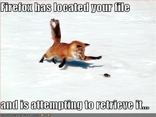 firefox has located your file