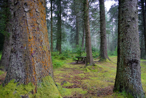 wood trees cloud tree wet water rain clouds reflections landscape scotland woods woodlands nikon flickr raw day stirling september hills raindrops gps showers rainfall downpour d800 wooded onwater paulwilliams lochdrunkie nikon2470mm reflectionsonalake nikkor2470mmf28 nikond800 nikongp1 lochdrongaidh despitestraightlines ilobsterit lochdrunkiescotland lochdrunkiestirling viewoflochdrunkie whentheskycries