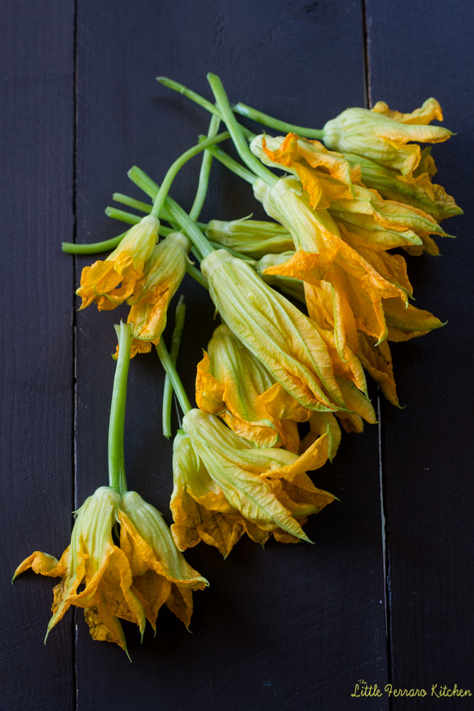 Fresh zucchini flowers before stuffing with chese.