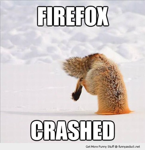 firefox crashed