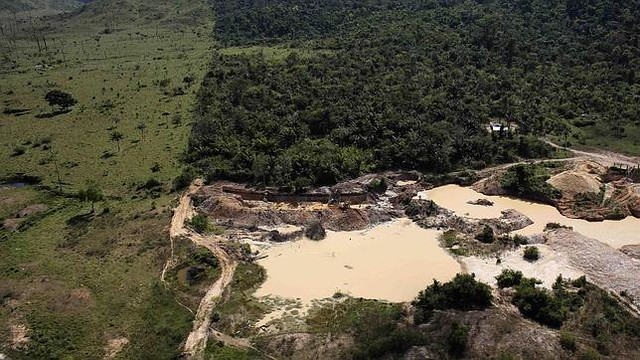 deforestacion-diarioecologia