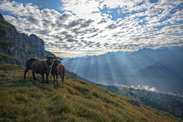 The Alps in Braunwald, Switzerland