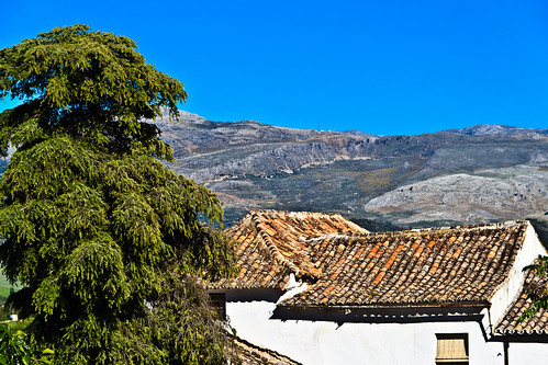 houses roof españa mountains tree landscape spain terracotta explore evergreen tiles ronda pantiles