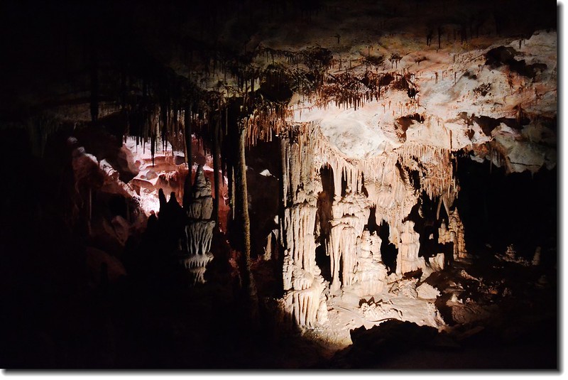 Stalagmites in Lehman Caves 6