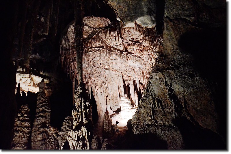 Stalagmites in Lehman Caves 2