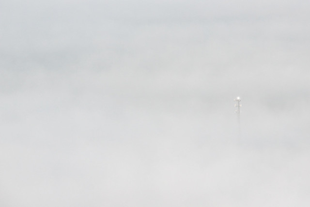Flying_in_the_fog-