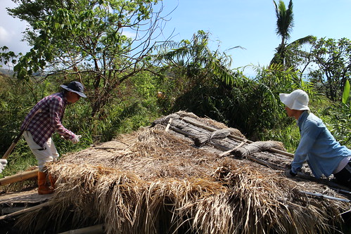 志工協助修建遭颱風吹壞的茅草涼亭。