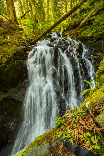 trees creek waterfall hiking logs canyon boulders snohomishcounty mountainloophighway lake22creek