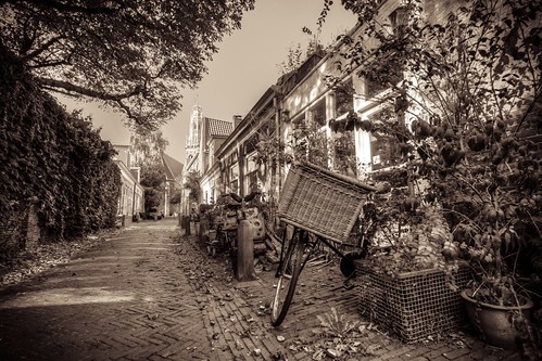 street autumn holland haarlem netherlands monochrome sepia canon eos mono europe herfst nederland wideangle handheld dslr toned hdr lightroom straat uwa wideanglelens ultrawideangle tonemapped photomatixpro 100d 1018mm mcquaidephotography