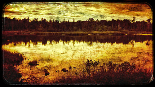 iphone iphone5s iphoneography mextures snapseed texture textureoverlays colorburn colo colors colour colours art abstract fineart landscape lake pond water freshwater artistic