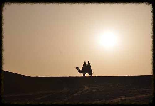 morning sun sunlight india sunrise morninglight desert camel sanddunes jaisalmer rajasthan desertlandscape camelrider thardesert desertscene rememberthatmomentlevel1 rememberthatmomentlevel2 rememberthatmomentlevel3