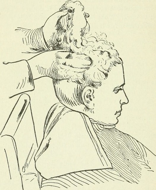 Image from page 183 of "The manual on barbering, hairdressing, manicuring, facial massage, electrolysis and chiropody as taught in the Moler system of colleges" (1906)